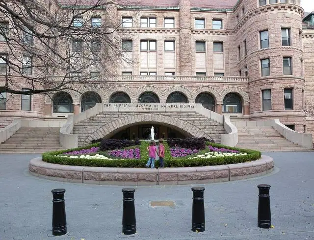AMNH S flowerbed jeh – American Museum of Natural History