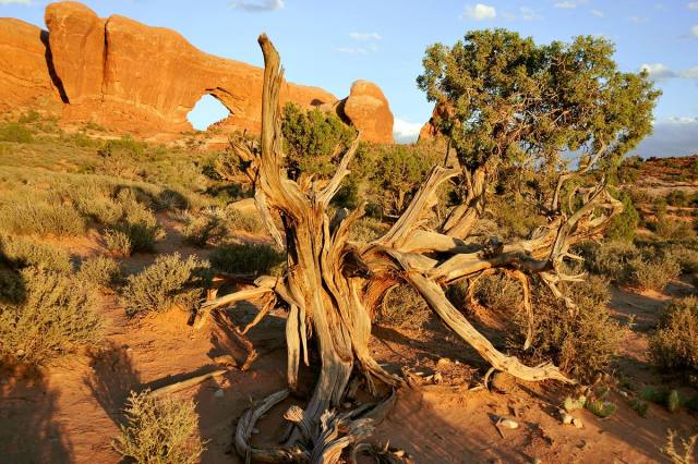 Arches-Nationalpark — 2