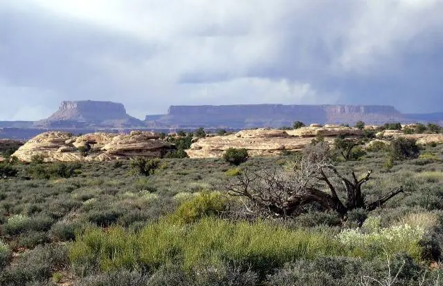 Los dos ríos lo dividen en distritos que ninguna carretera conecta dentro del parque: Island in the Sky al norte, The… – Parque Nacional Canyonlands