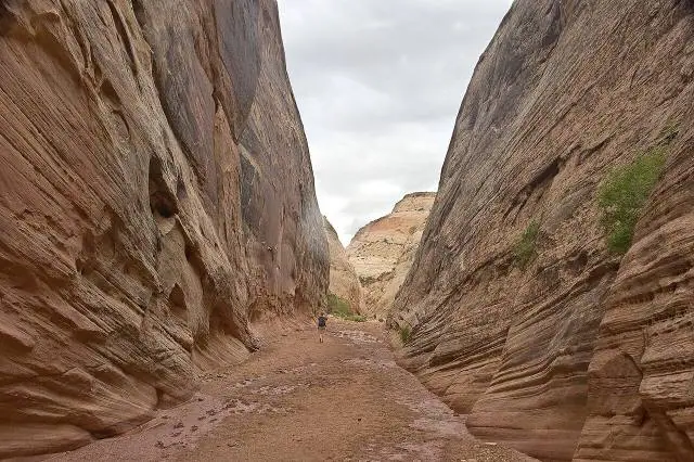 Der Scenic Drive und die Capitol Gorge – Capitol-Reef-Nationalpark