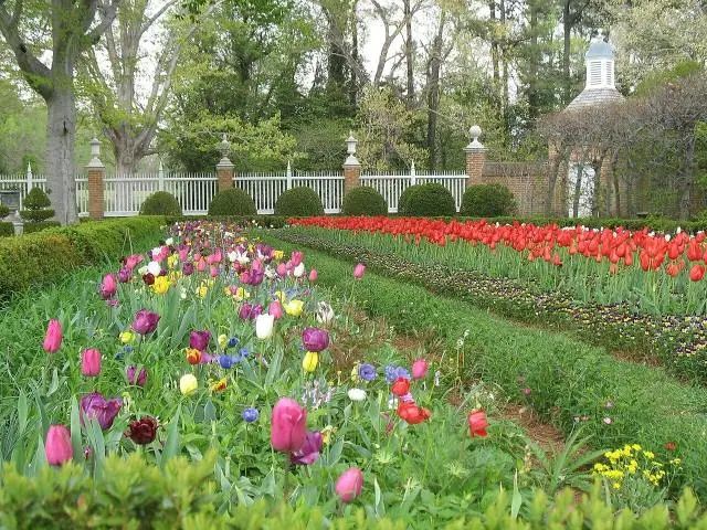 Governor's Palace Gardens – Colonial Williamsburg