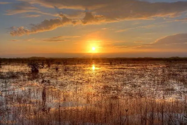 Everglades-Nationalpark in Florida