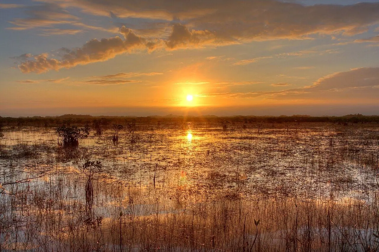 Everglades-Nationalpark in Florida