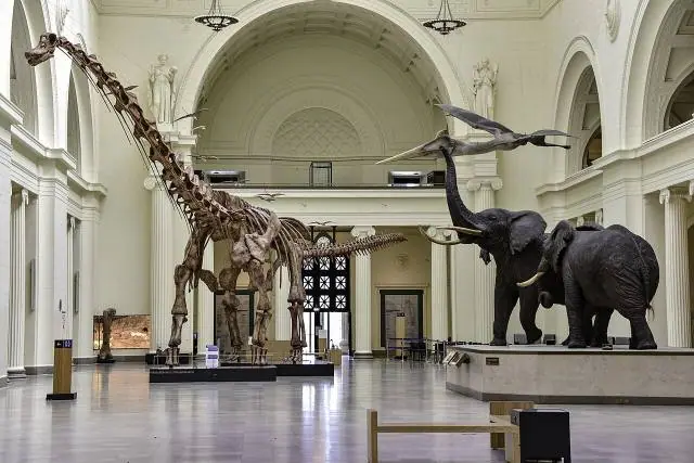 Máximo der Titanosaurier in der Stanley Field Hall – Field Museum