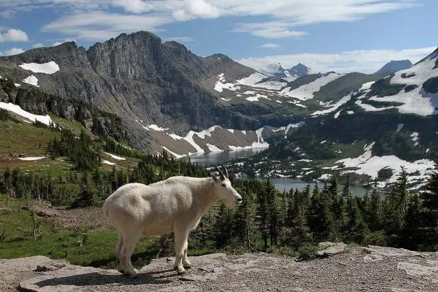 Driving the Going-to-the-Sun Road over Logan Pass – Glacier National Park