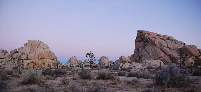 Der Hidden-Valley-Weg zwischen den Felsen – Joshua-Tree-Nationalpark