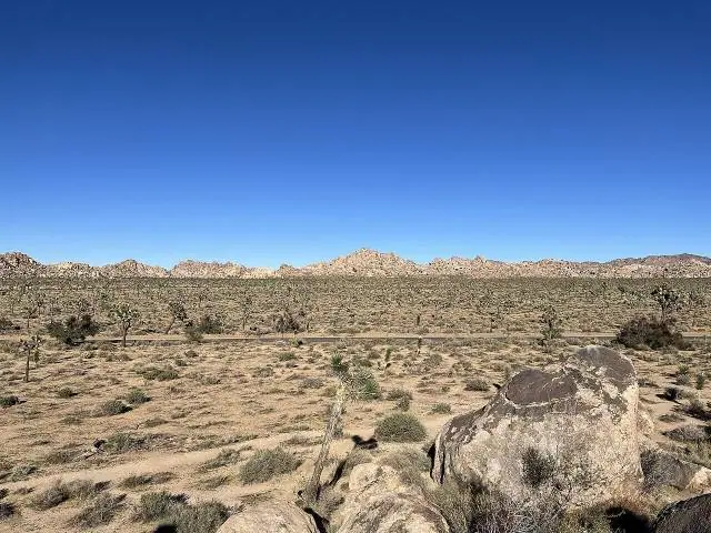 Die meisten fliegen nach Palm Springs oder fahren in etwa zweieinhalb Stunden von Los Angeles – Joshua-Tree-Nationalpark
