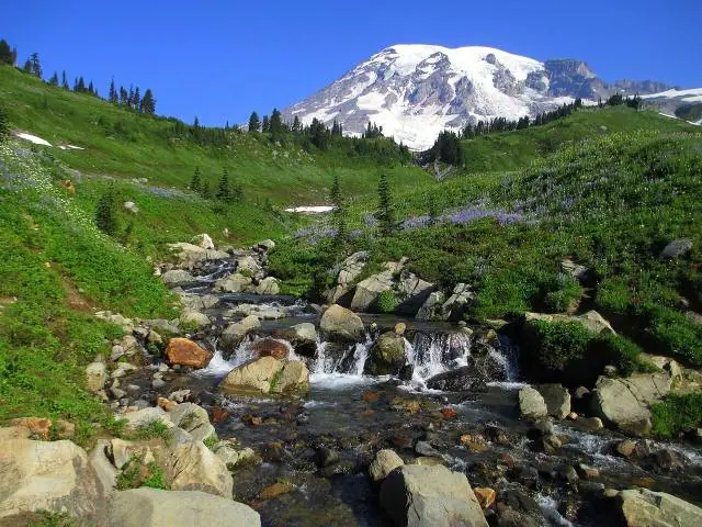 Mount Rainier National Park in Washington