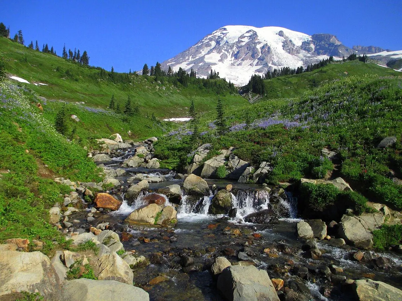 Mount-Rainier-Nationalpark in Washington