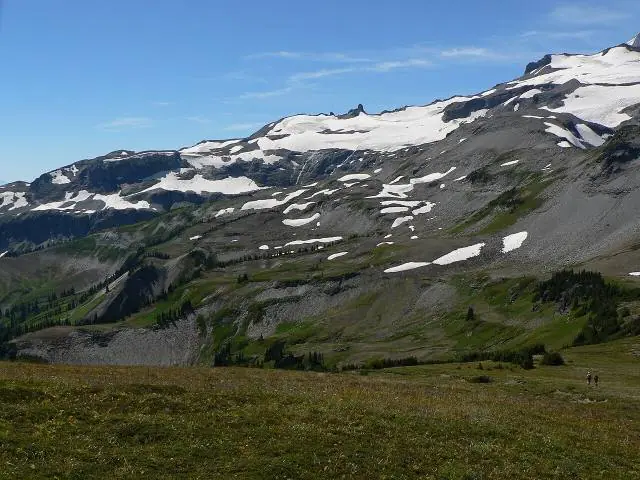Urwald bei Ohanapecosh – Mount-Rainier-Nationalpark
