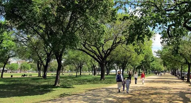 En el centro se alza el Monumento a Washington, de 169 metros; subir a lo alto es gratis, pero hay que reservar – National Mall