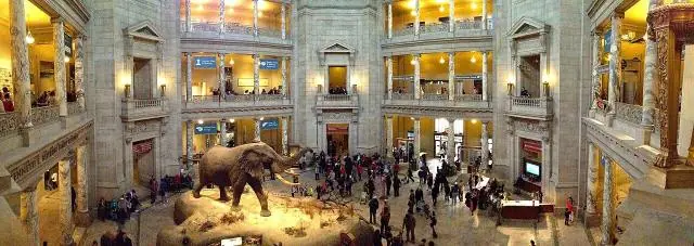 National Museum of Natural History Rotunda pano – Smithsonian National Museum of Natural History