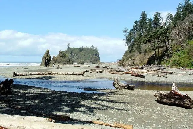On the coast, Ruby Beach and Rialto Beach are strewn with driftwood and sea stacks, while Lake Crescent is a deep… – Olympic National Park