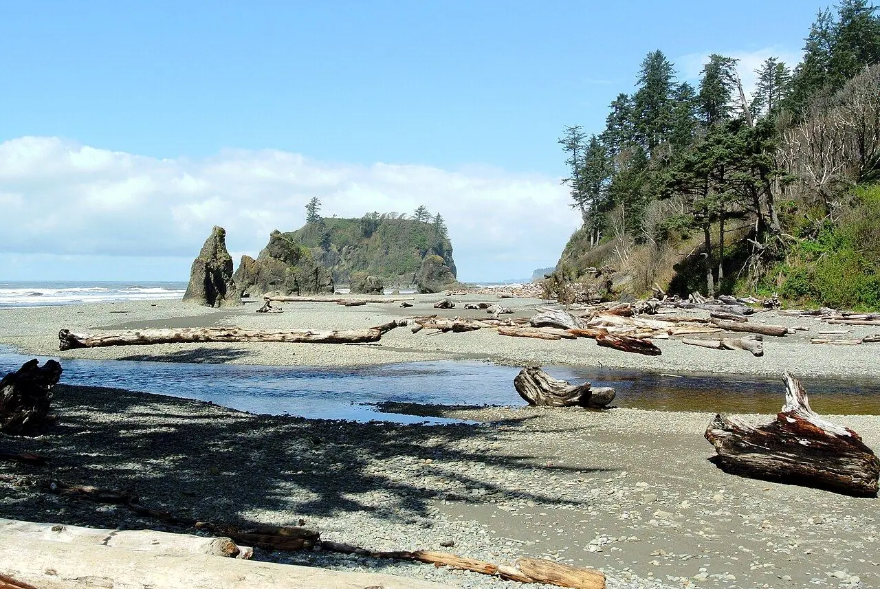 On the coast, Ruby Beach and Rialto Beach are strewn with driftwood and sea stacks, while Lake Crescent is a deep… – Olympic National Park