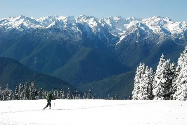 Mountain views from Hurricane Ridge – Olympic National Park