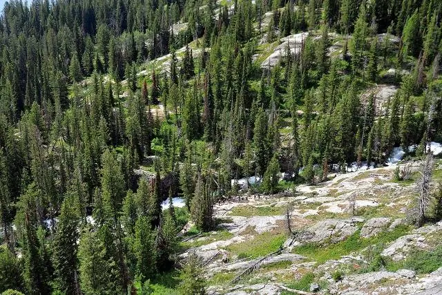 Pasado Inspiration Point, la gente disminuye y el sendero sube suavemente por el cañón junto al arroyo Cascade, con el… – Sendero de Cascade Canyon