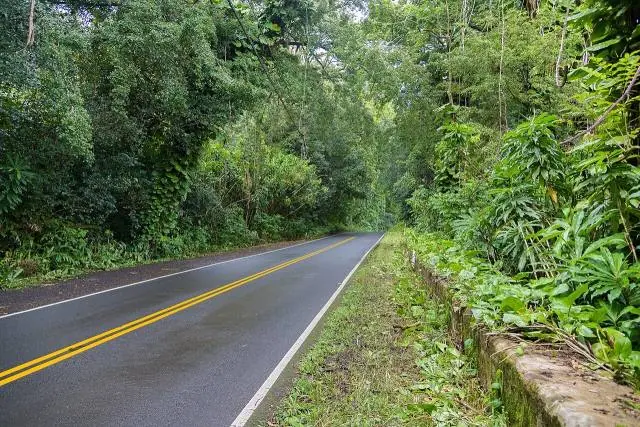 Waianapanapa State Park – Route de Hana