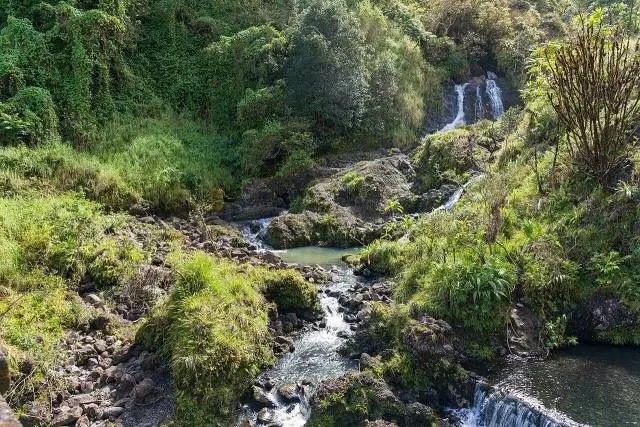 Route de Hana, Hawaï : photo 4