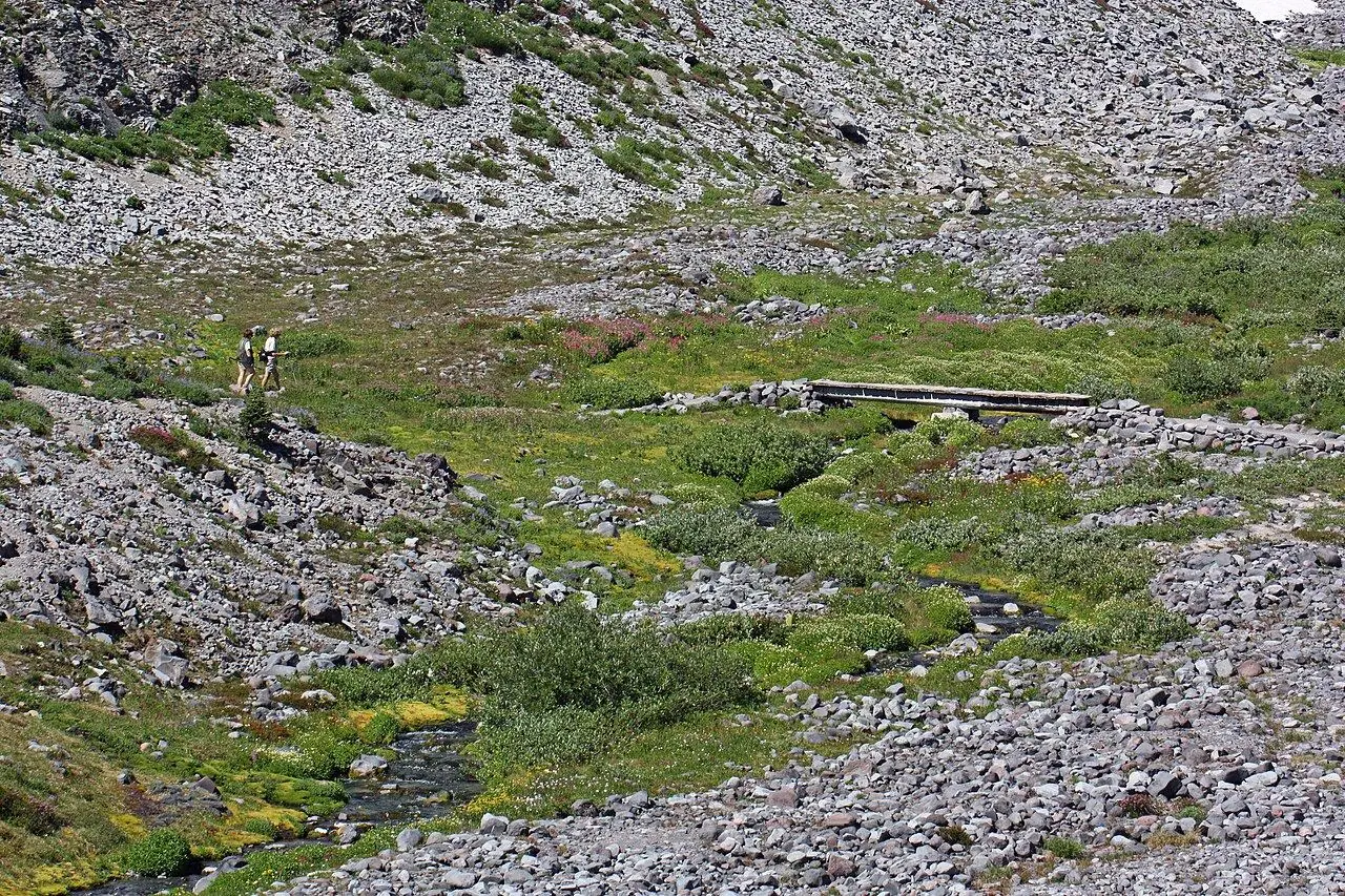 Skyline Trail à Paradise (Washington)